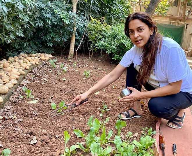 આ ચોમાસે ઘર આંગણે શાકભાજી ઉગાડવાનું વિચારો