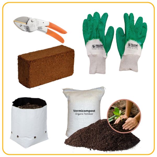 Kitchen Gardening Essentials