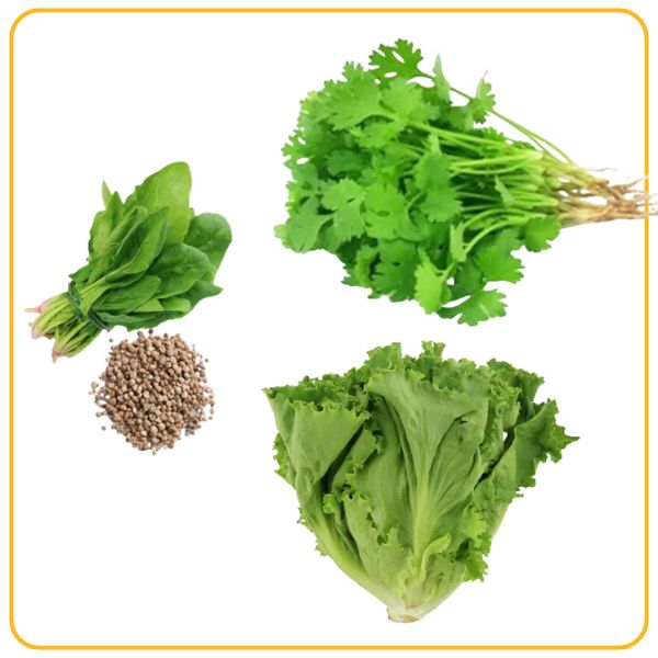 Leafy Vegetables