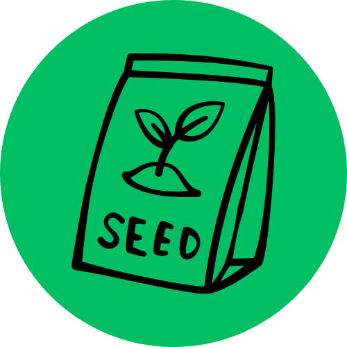 Seeds
