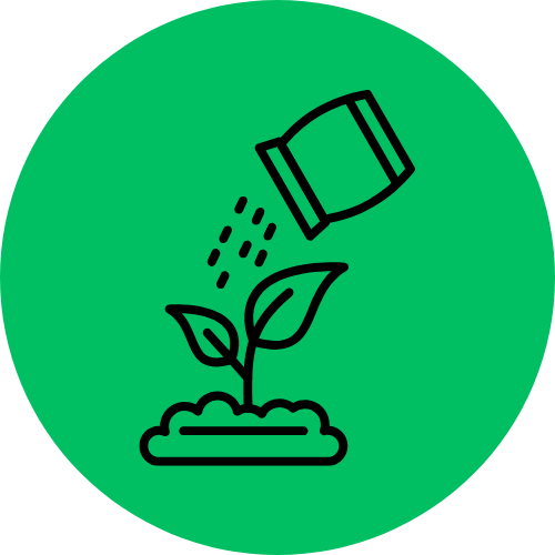 Plant Care