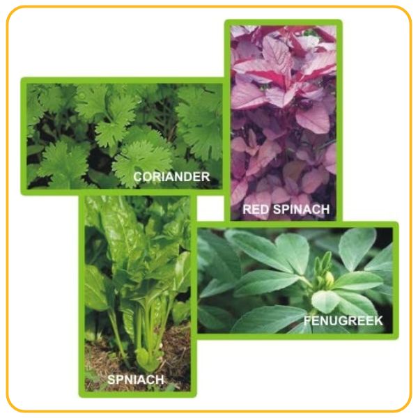 Winter crops