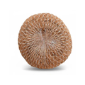 Body Scrubber (Coir Scrubber) bath