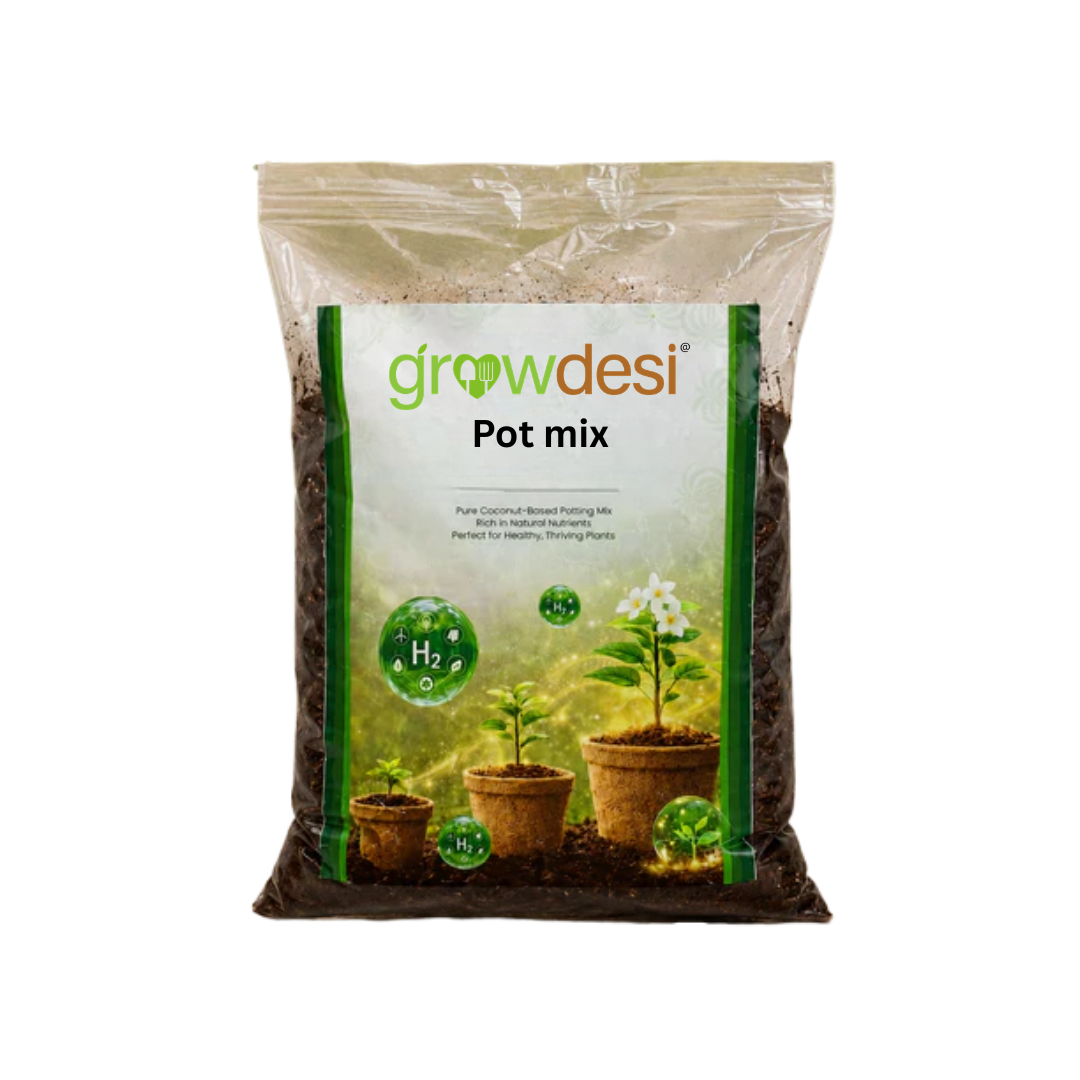 Mitti+ : Compost & Essential Pot Mix