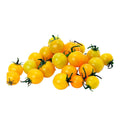 Tomato - Cherry