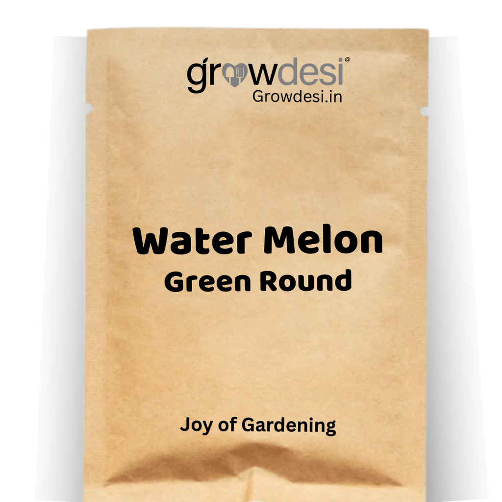 Water melon - Green Round