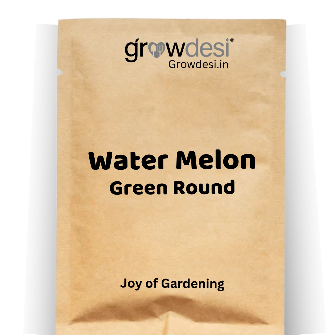 Water melon - Green Round
