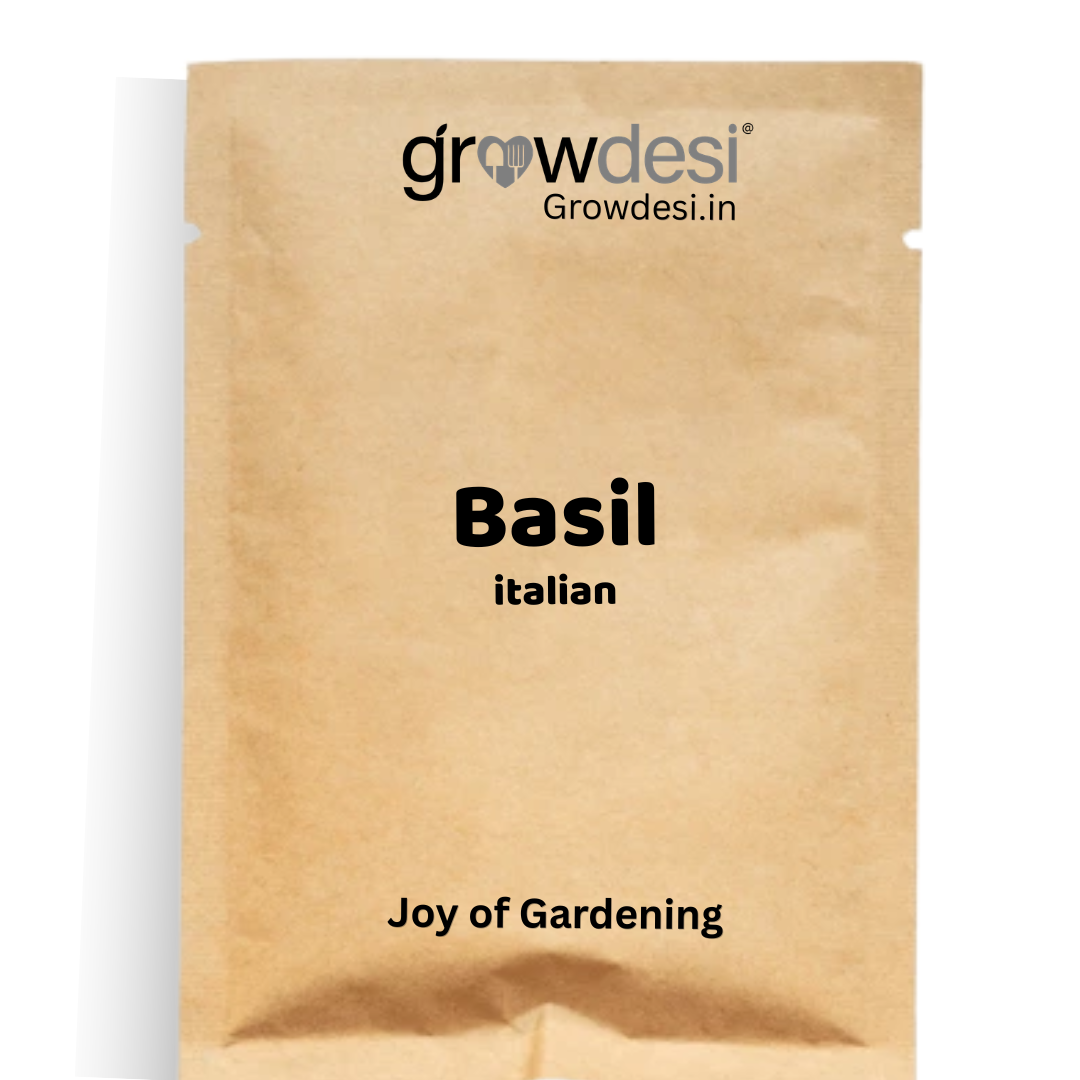 Basil - Italian