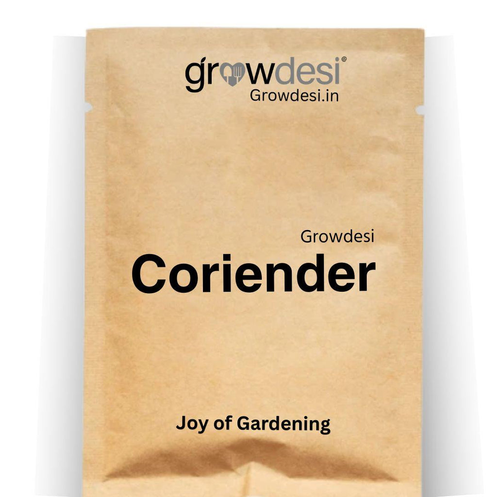 Desi Coriender Seeds