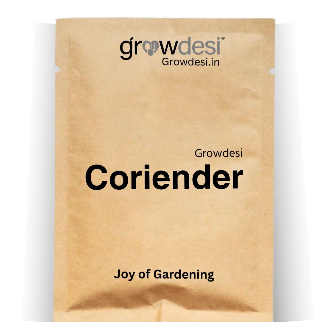Desi Coriender Seeds