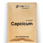Seed - Capsicum - chocklet