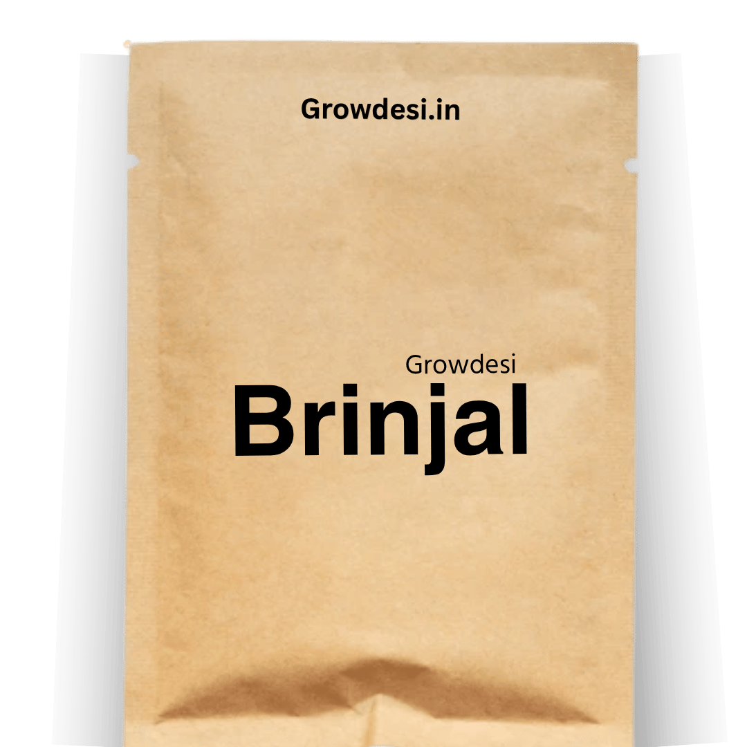 Desi Brinjal Seeds