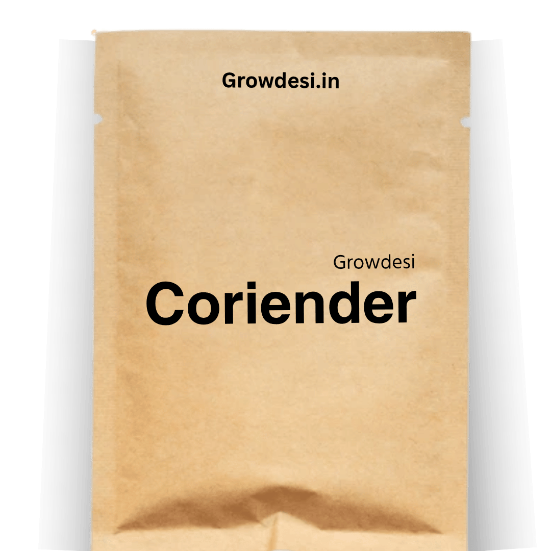 Desi Coriender Seeds