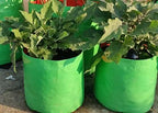 Grow bag